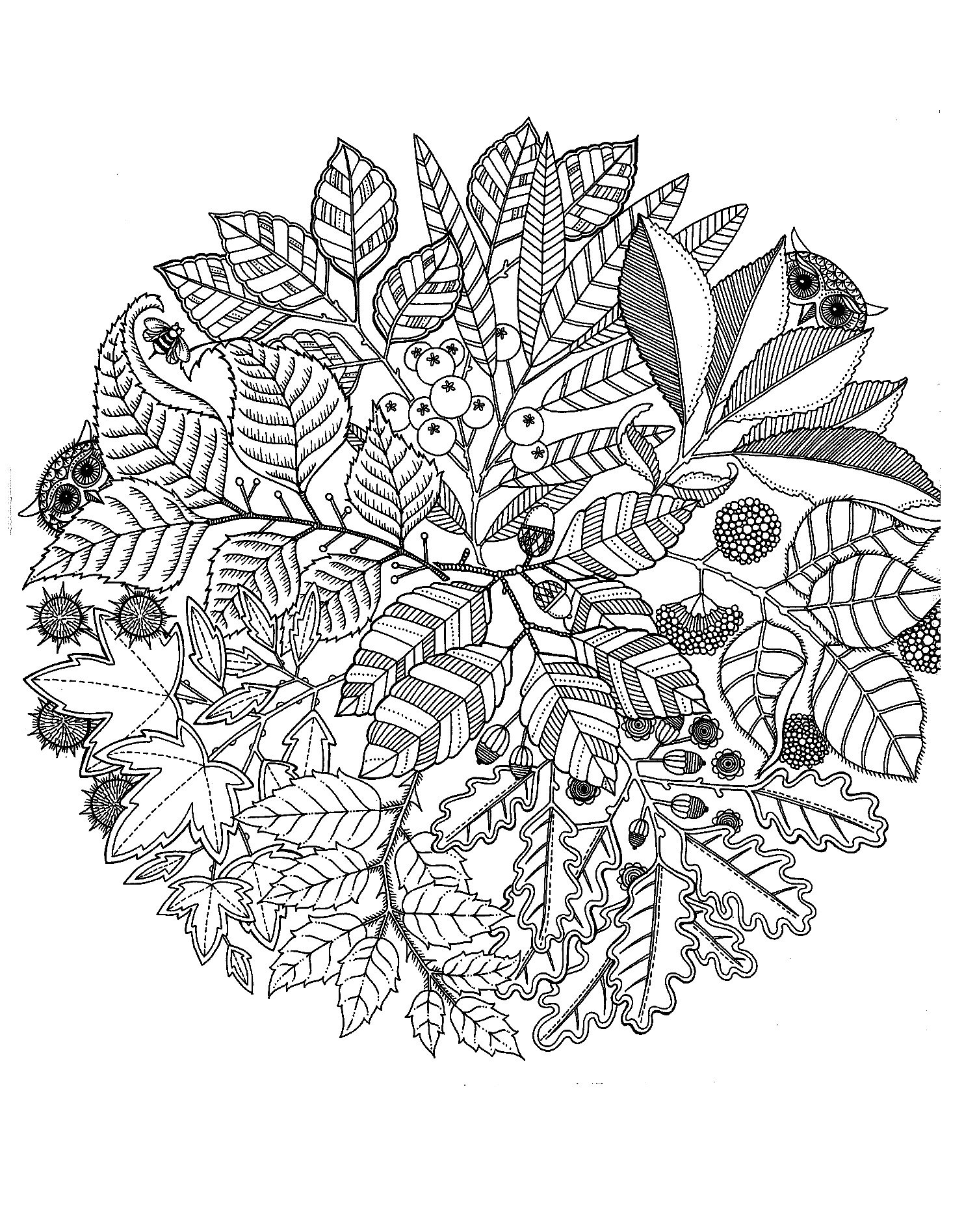 A Mandala composed of leaves and berries, behind which hides discreet owls