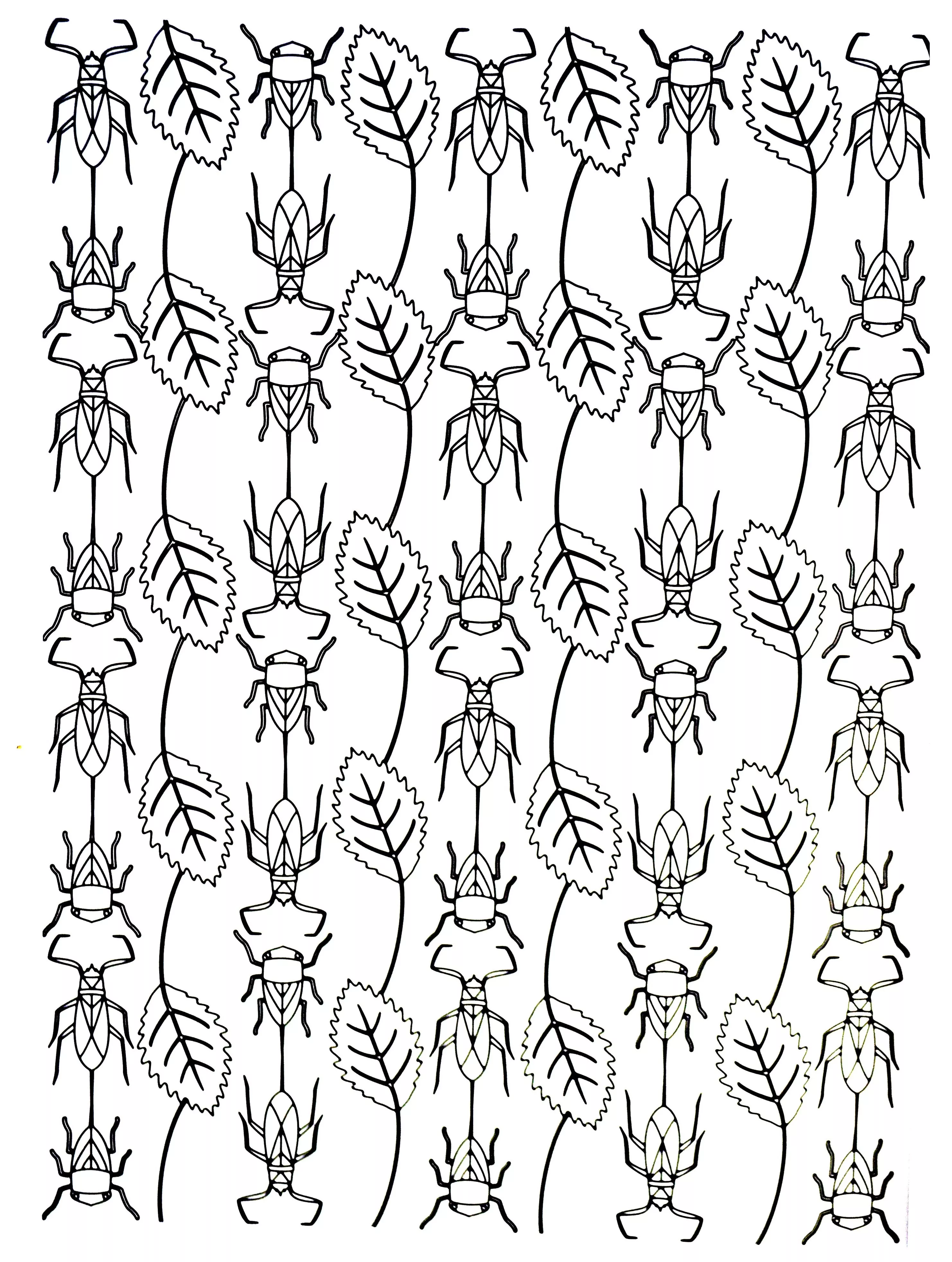 Flowers and insects (Printable Flowers & vegetation Coloring Page for adults)