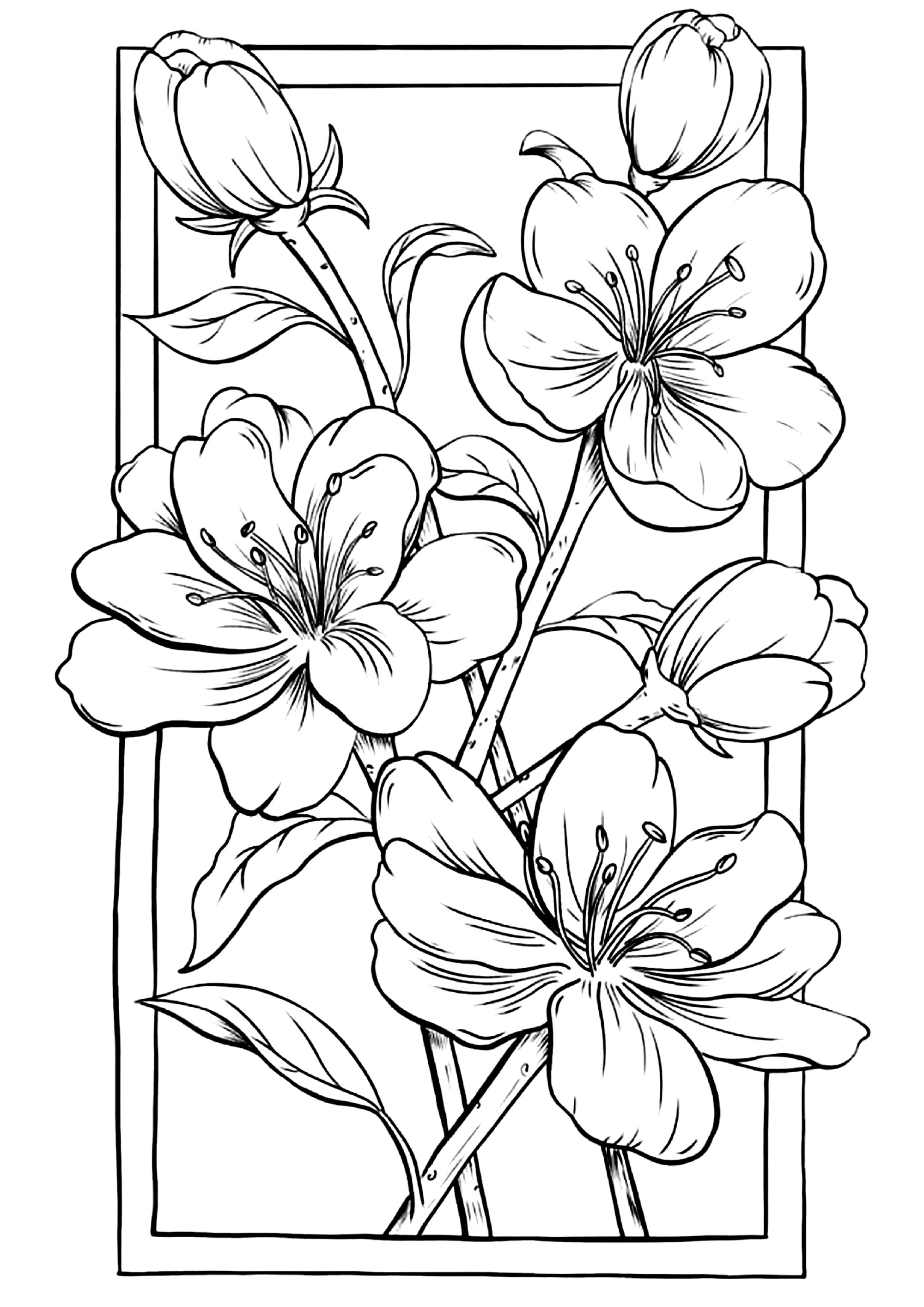 Delicate and elegant flowers (Printable Flowers & vegetation Coloring Page for adults)