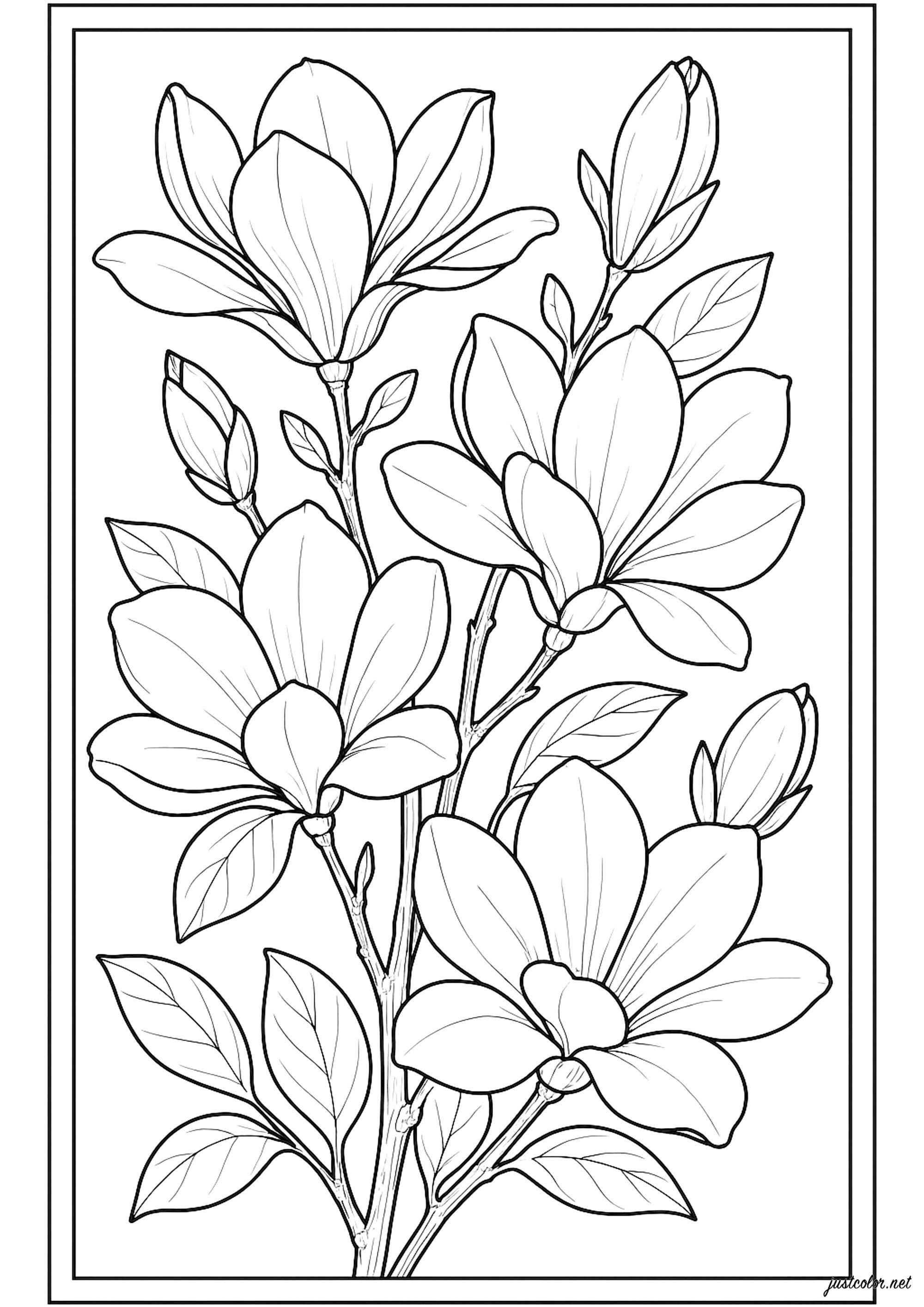 Elegant irises (Printable Flowers & vegetation Coloring Page for adults)