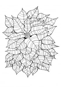 Single leaves (Flowers & vegetation Coloring Page)