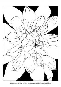 Beautiful flower with large petals, by Graphizen IHU (Flowers & vegetation Coloring Page)