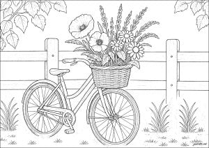 Flowers in a bicycle basket (Flowers & vegetation Coloring Page)