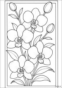 Elegant orchids in a floral bouquet (Flowers & vegetation Coloring Page)