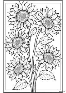 Radiant sunflowers (Flowers & vegetation Coloring Page)