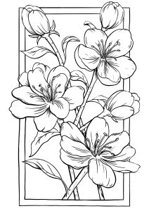Delicate and elegant flowers (Flowers & vegetation Coloring Page)