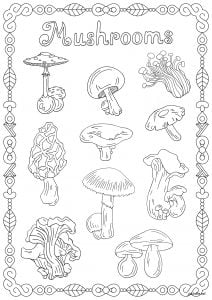 Mushrooms (Flowers & vegetation Coloring Page)