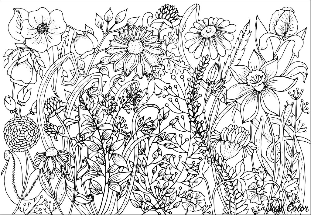 Cute spring flowers - Flowers Adult Coloring Pages