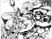 Frogs Coloring Pages for Adults