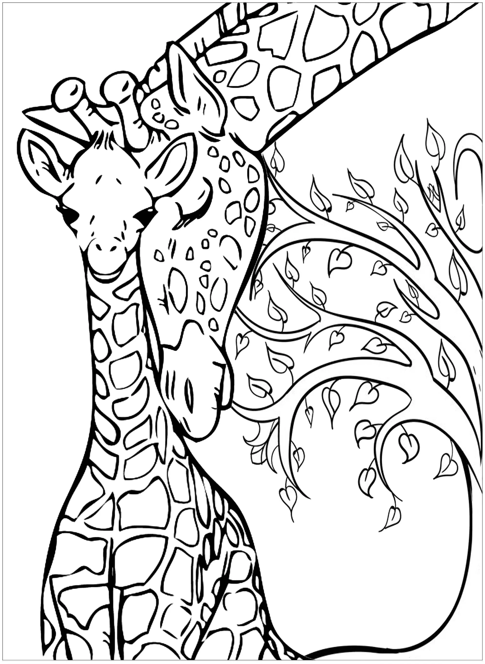 Baby Giraffe and his mother (Printable Coloring Page for adults)