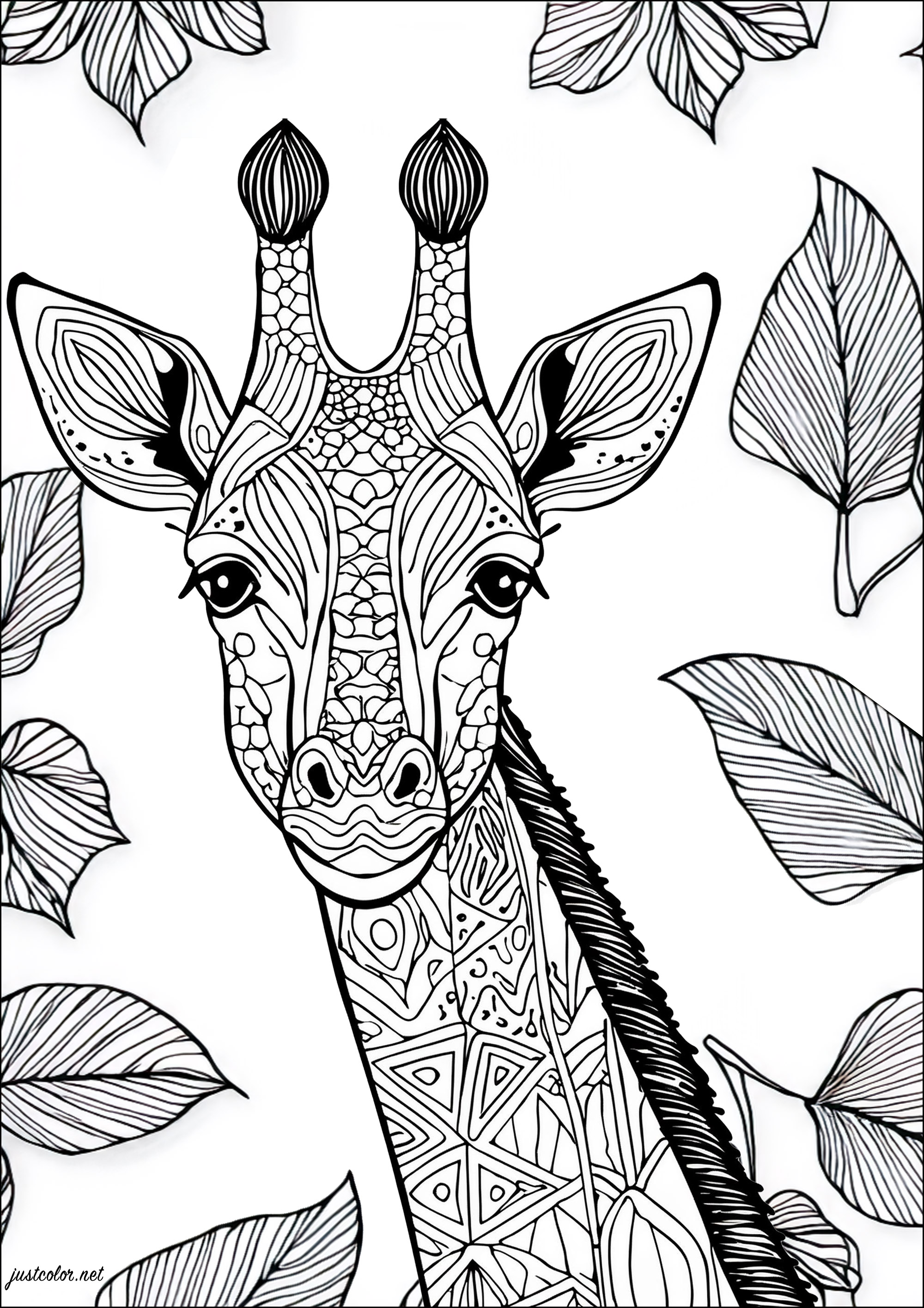 Beautiful Giraffe with leaf background. Pretty patterns to color in the giraffe, and leaves with fairly tight veins.