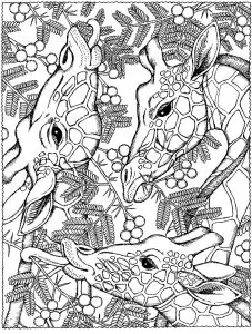 Printable Giraffe complex coloring sheets for adults