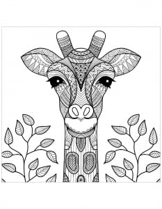 Giraffe head, with leaves (Coloring Page)