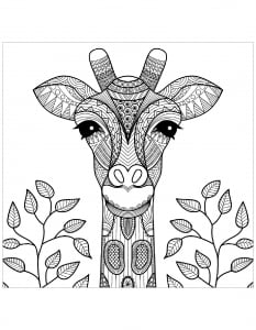 coloring-giraffe-head-with-leaves