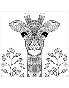 Giraffe head with leaves