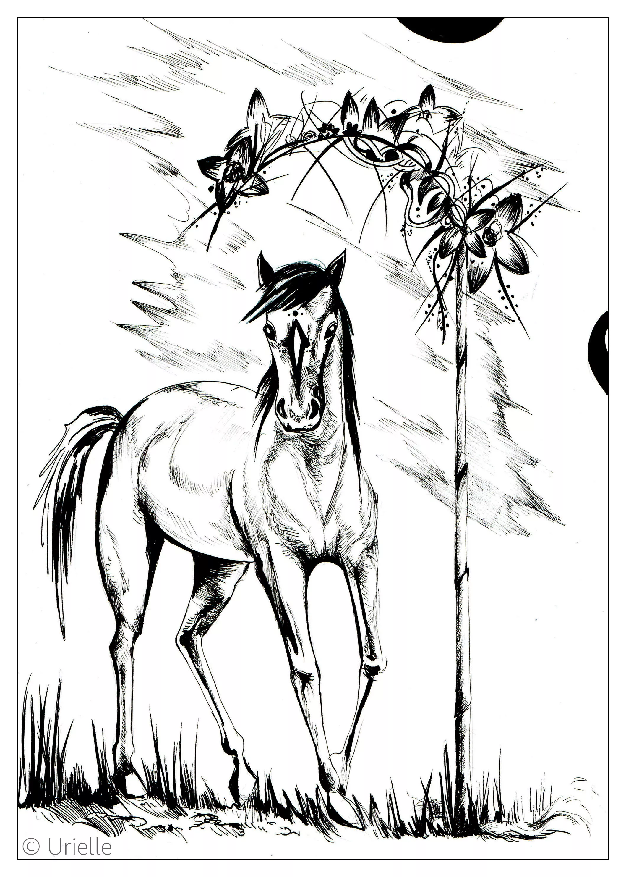 Majestic horse (Printable Coloring Page for adults)