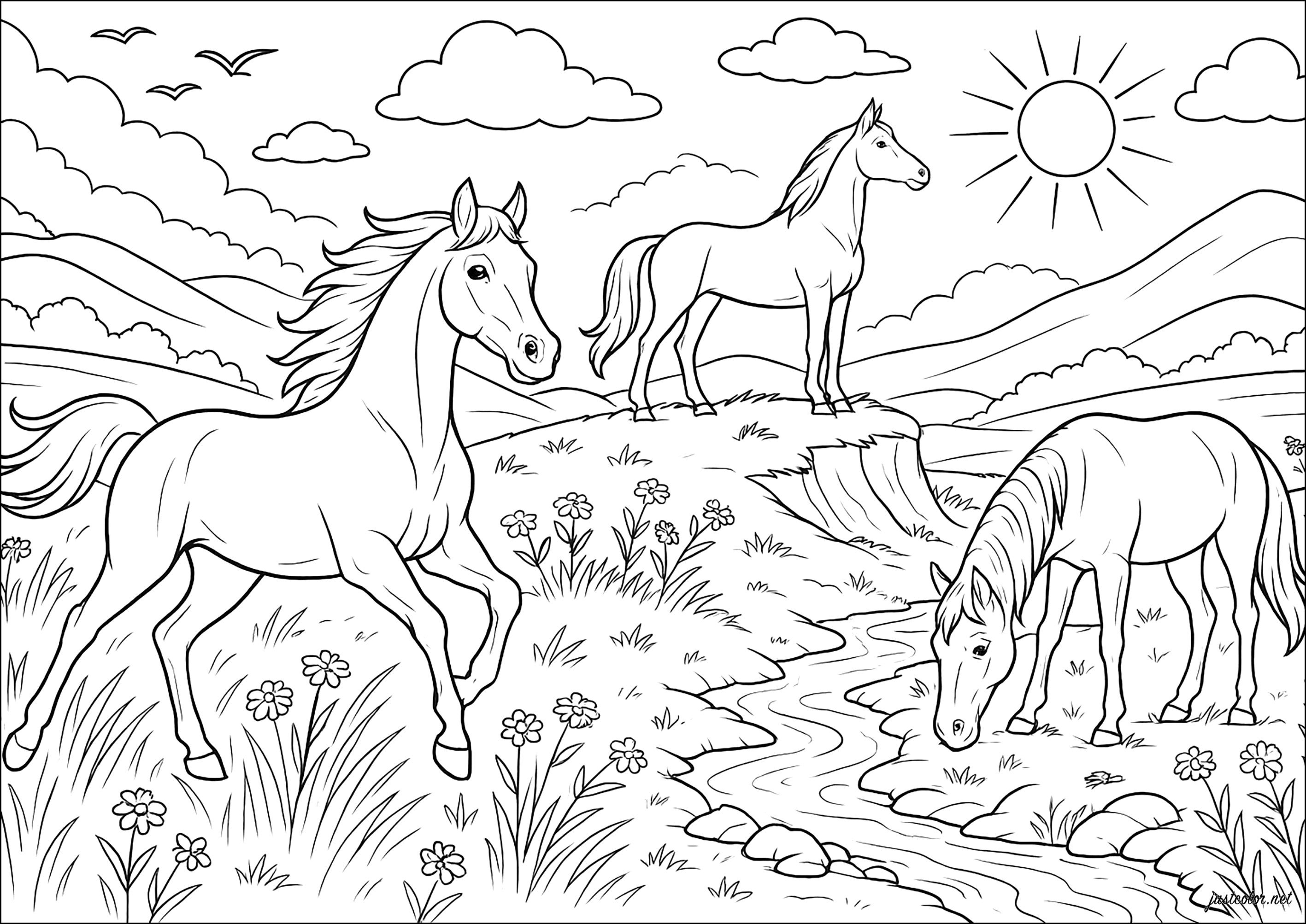 Trio Équestre en Prairie (Printable Horses Coloring Page for adults)
