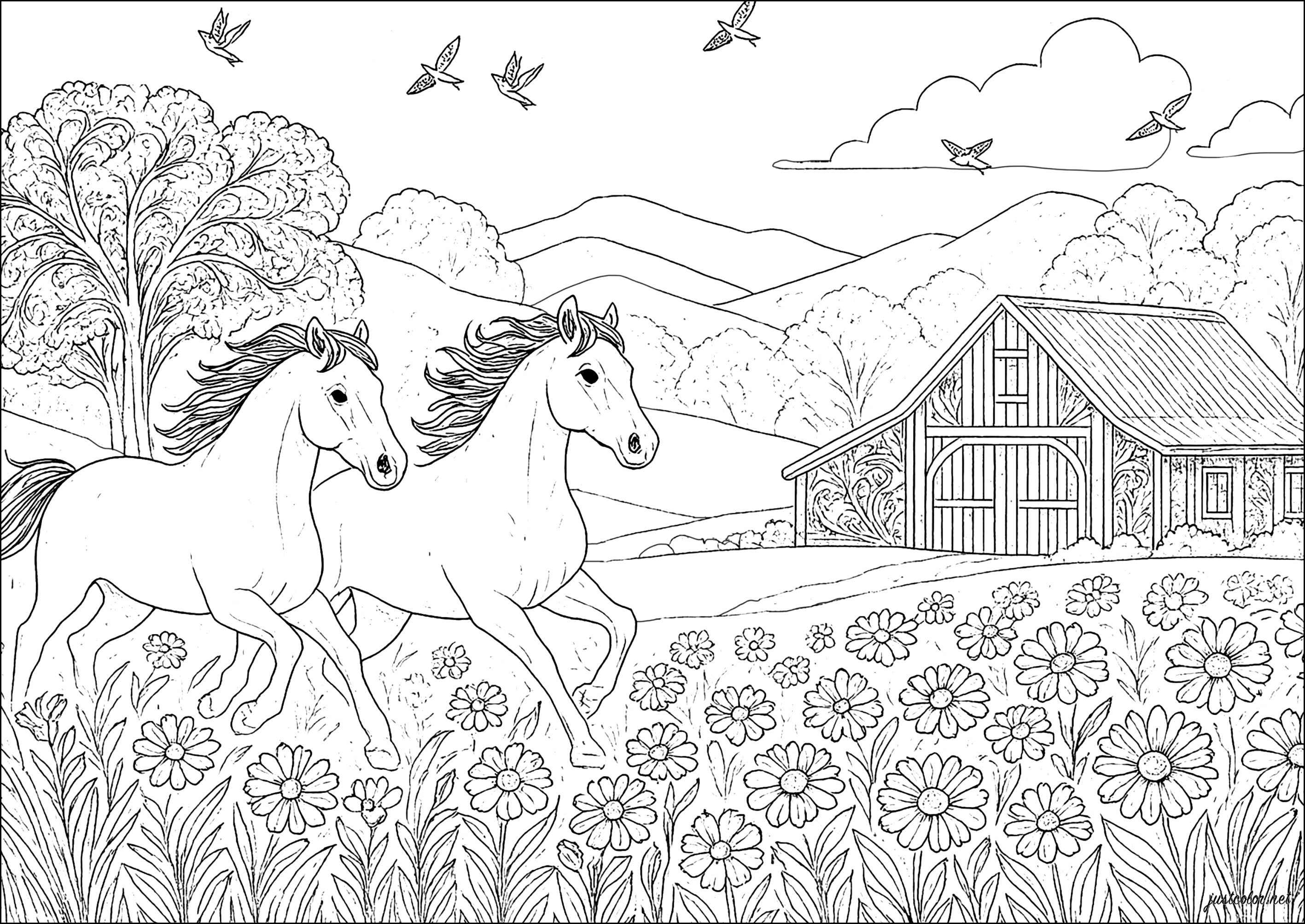 Horses-39154 (Printable Coloring Page for adults)