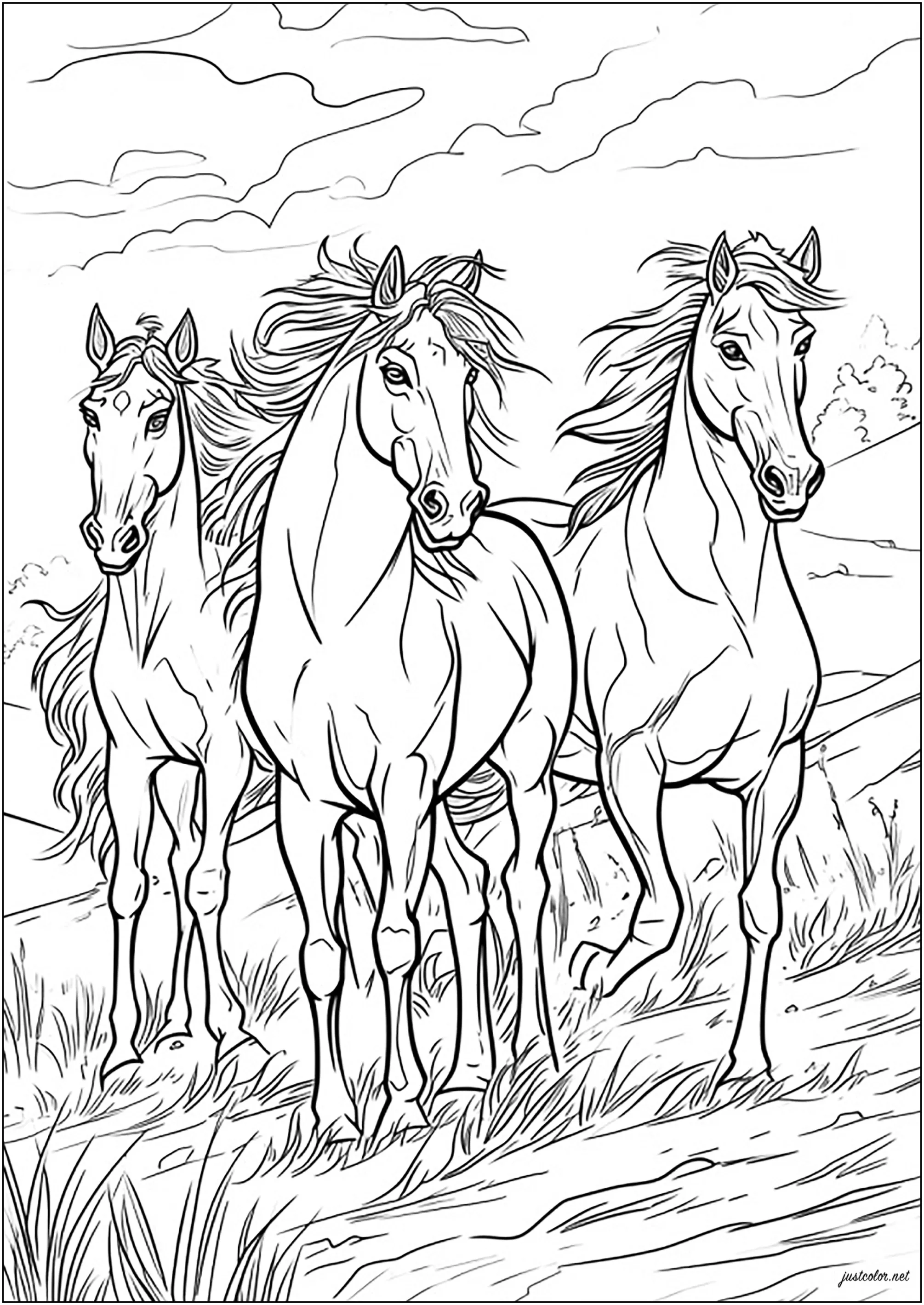 Three magnificent horses (Printable Coloring Page for adults)