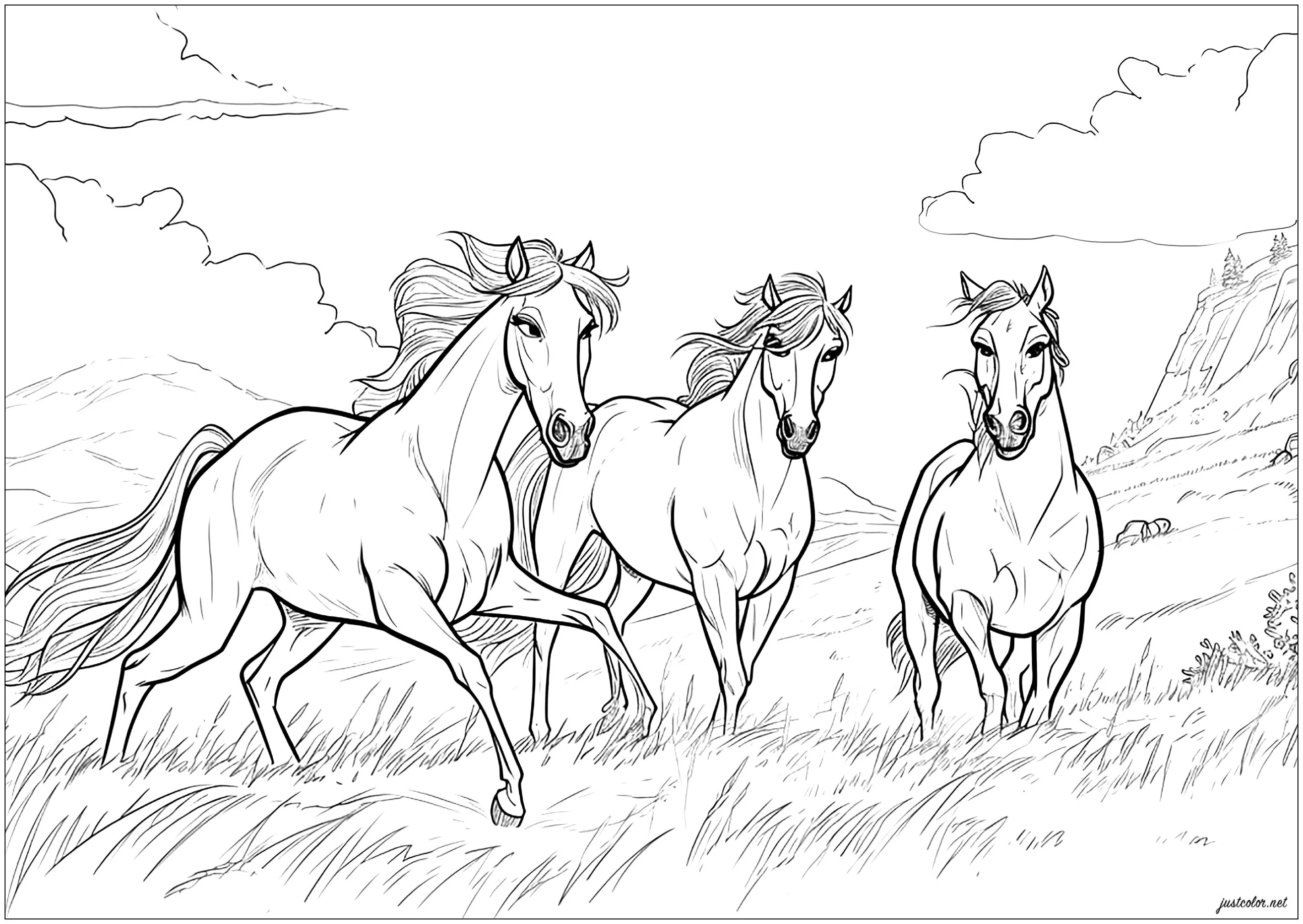 Three galloping horses (Printable Coloring Page for adults)