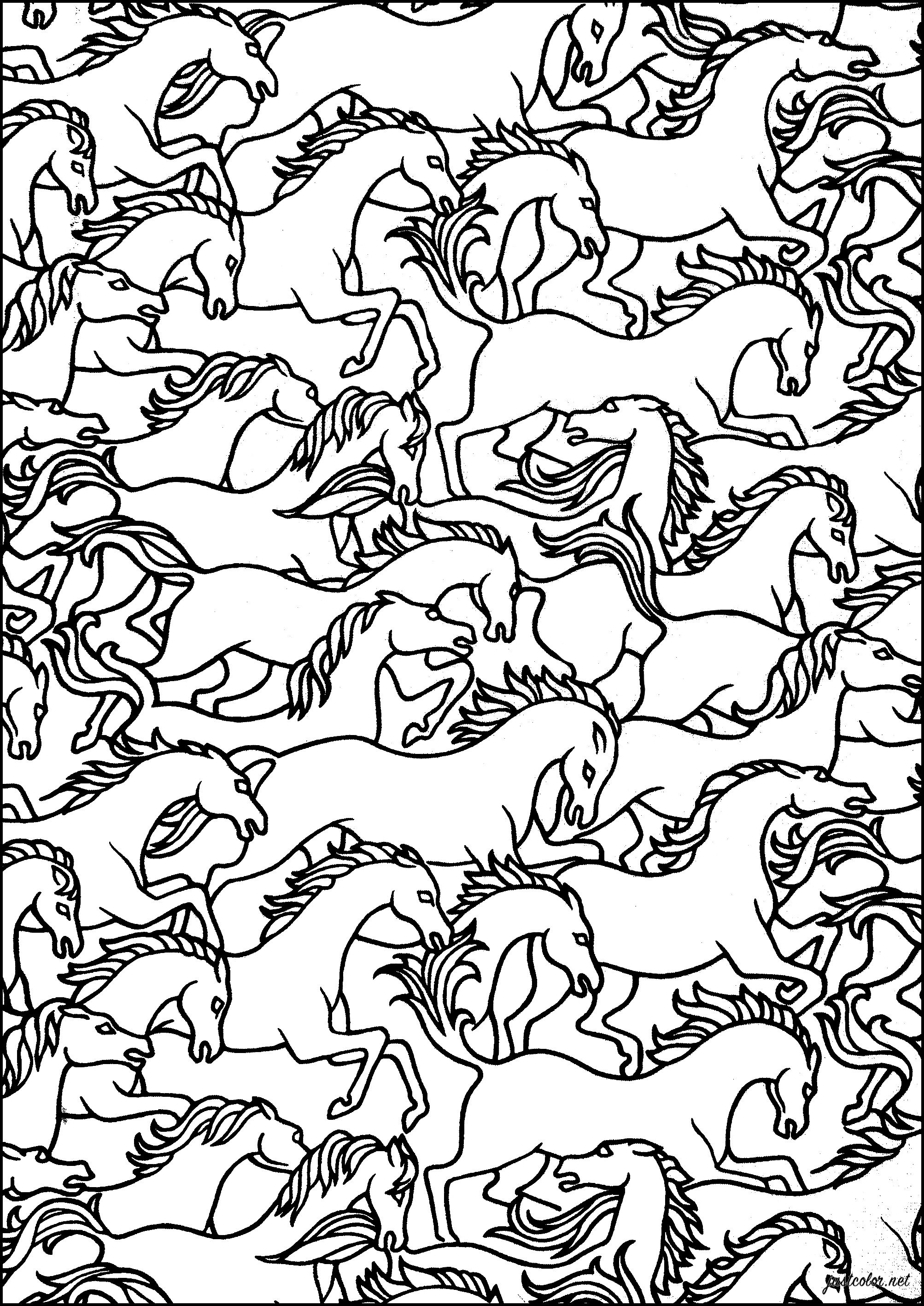 Wild horses on the run (Printable Coloring Page for adults)