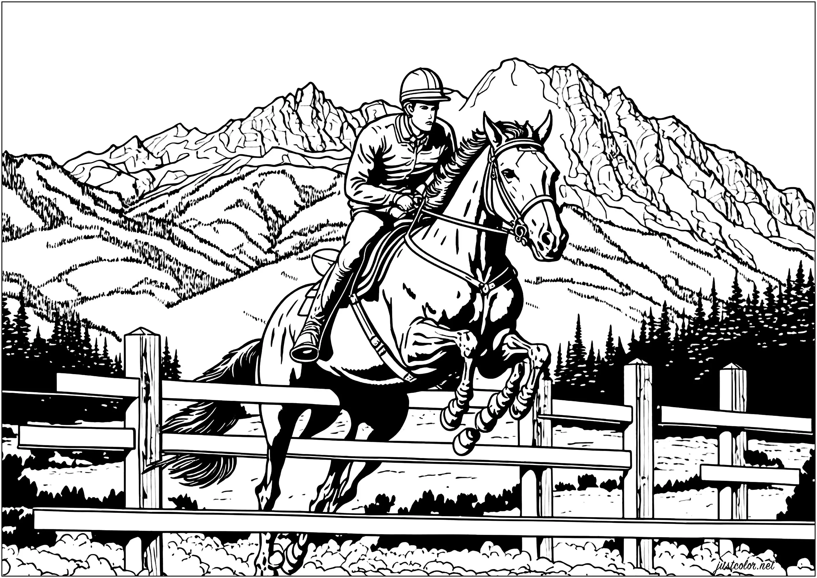 Jockey riding horse - 1 (Printable Coloring Page for adults)