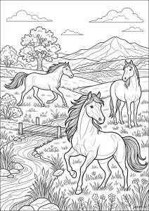 Three horses in an open meadow