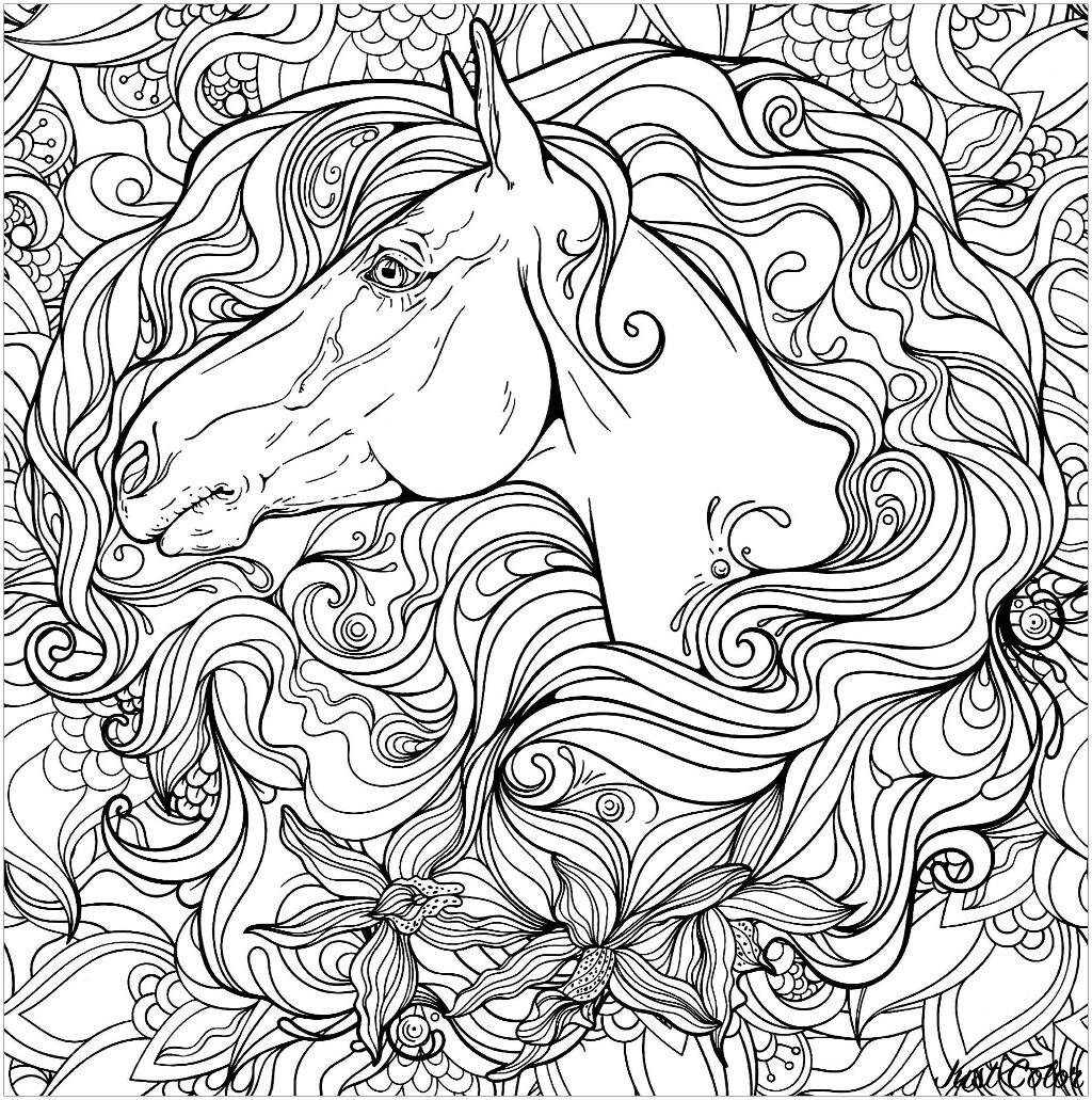 Horse in flowers - Horses Adult Coloring Pages