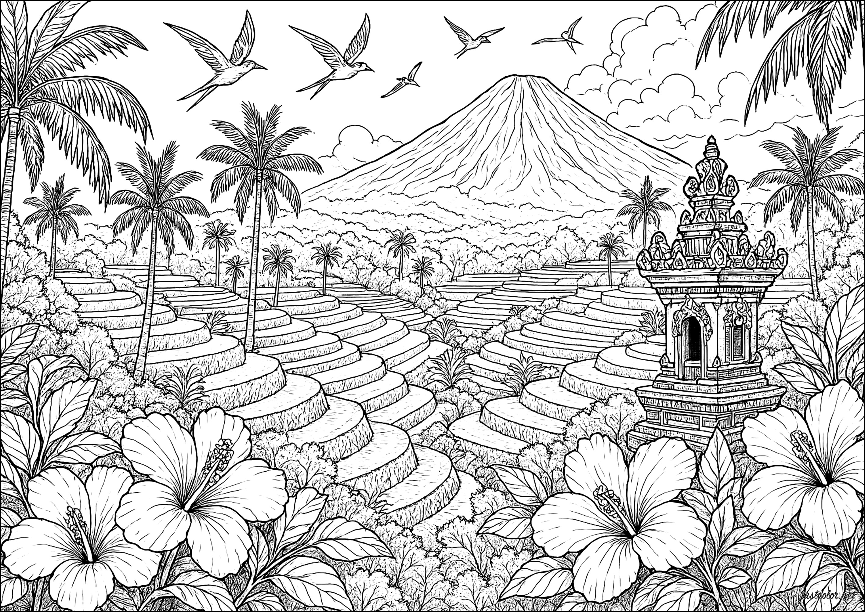 Exotic landscape with rice terraces (Printable Indonesia Coloring Page for adults)