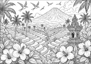 Exotic landscape with rice terraces