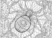 Printable Butterflies & insects coloring sheets for adults