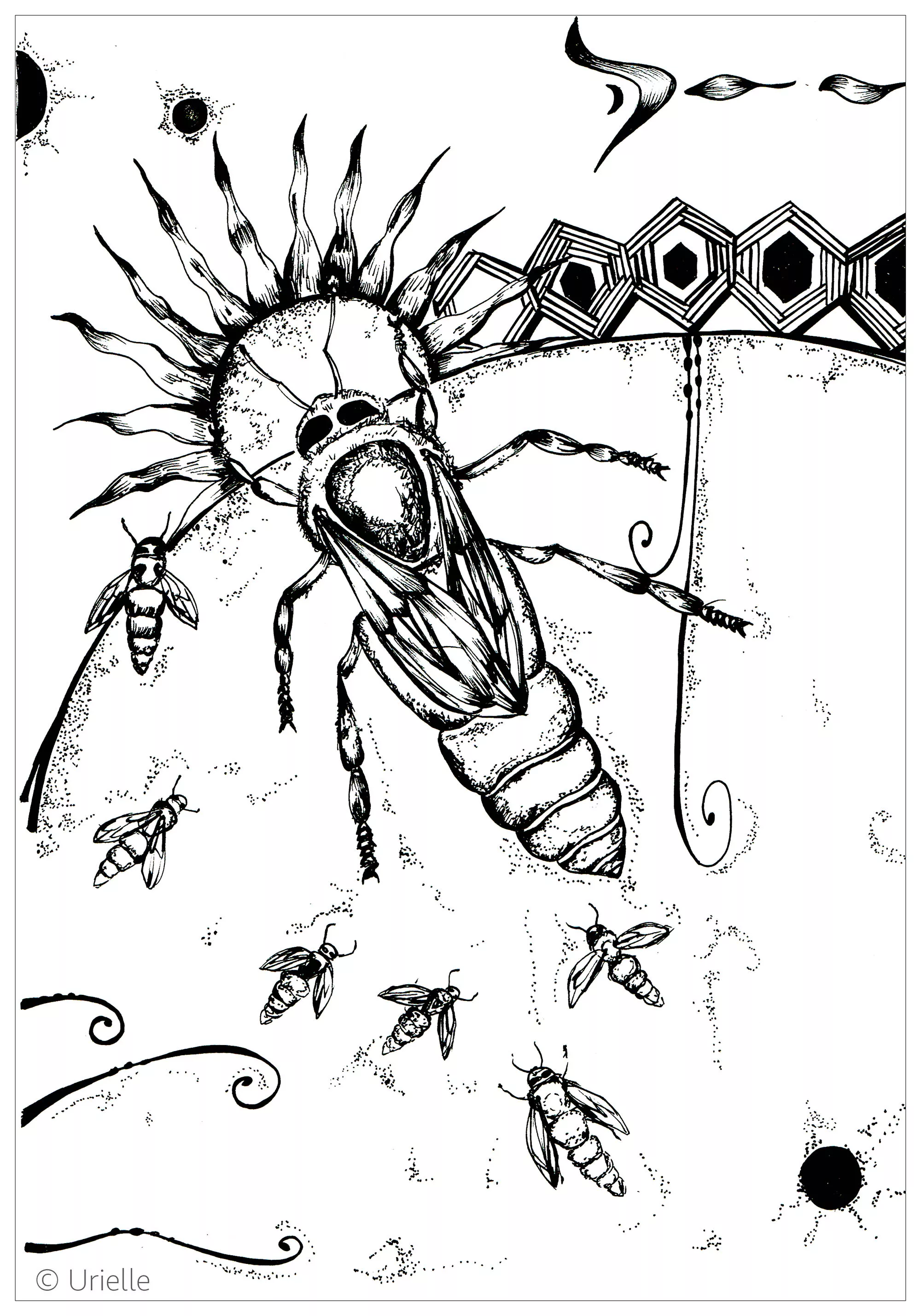 Bee urielle (Printable Coloring Page for adults)