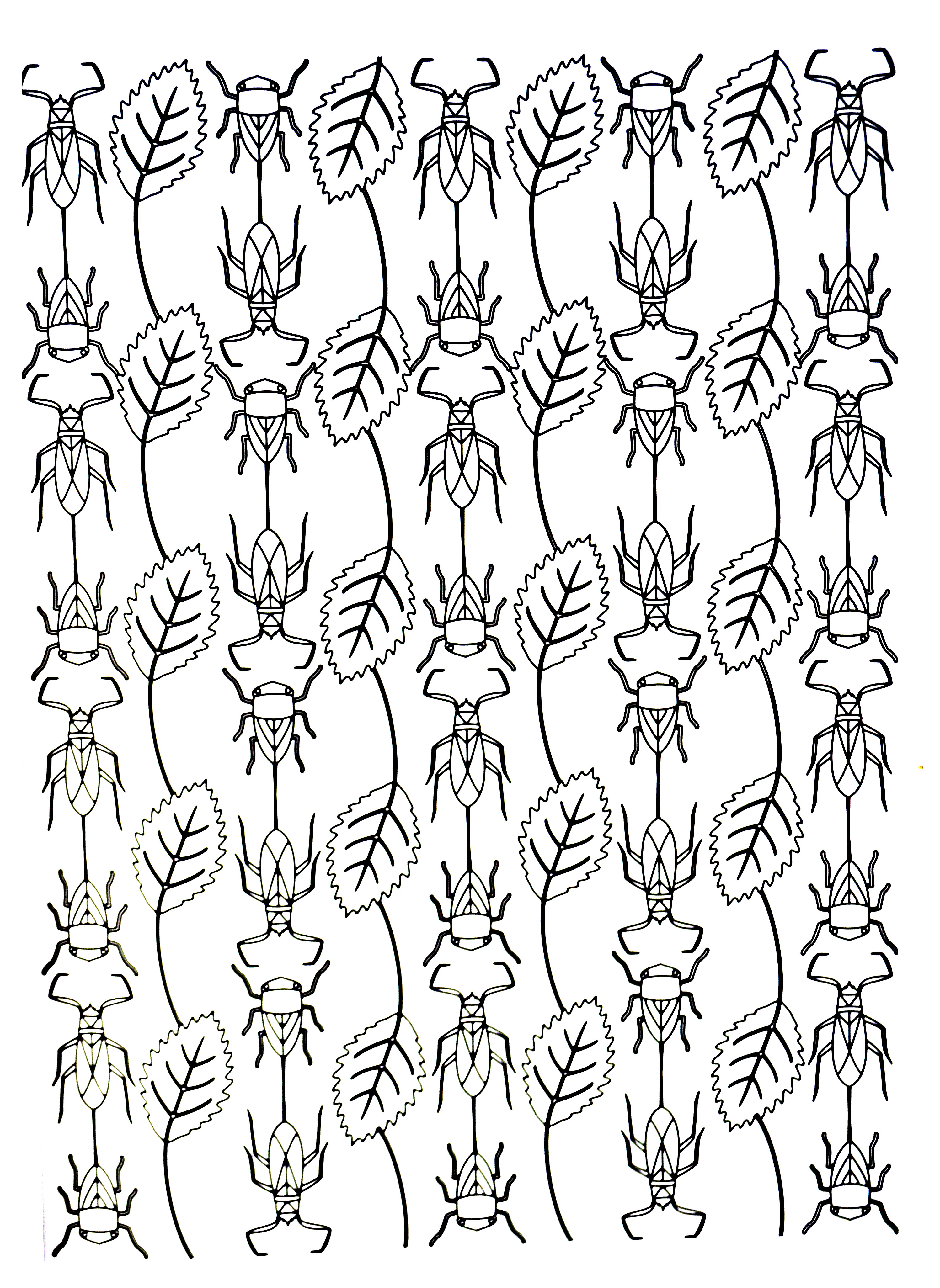 Butterflies & Insects Coloring Page : Beetle and leaves Printable Butterflies & Insects Coloring Page for adults : Beetle and leaves