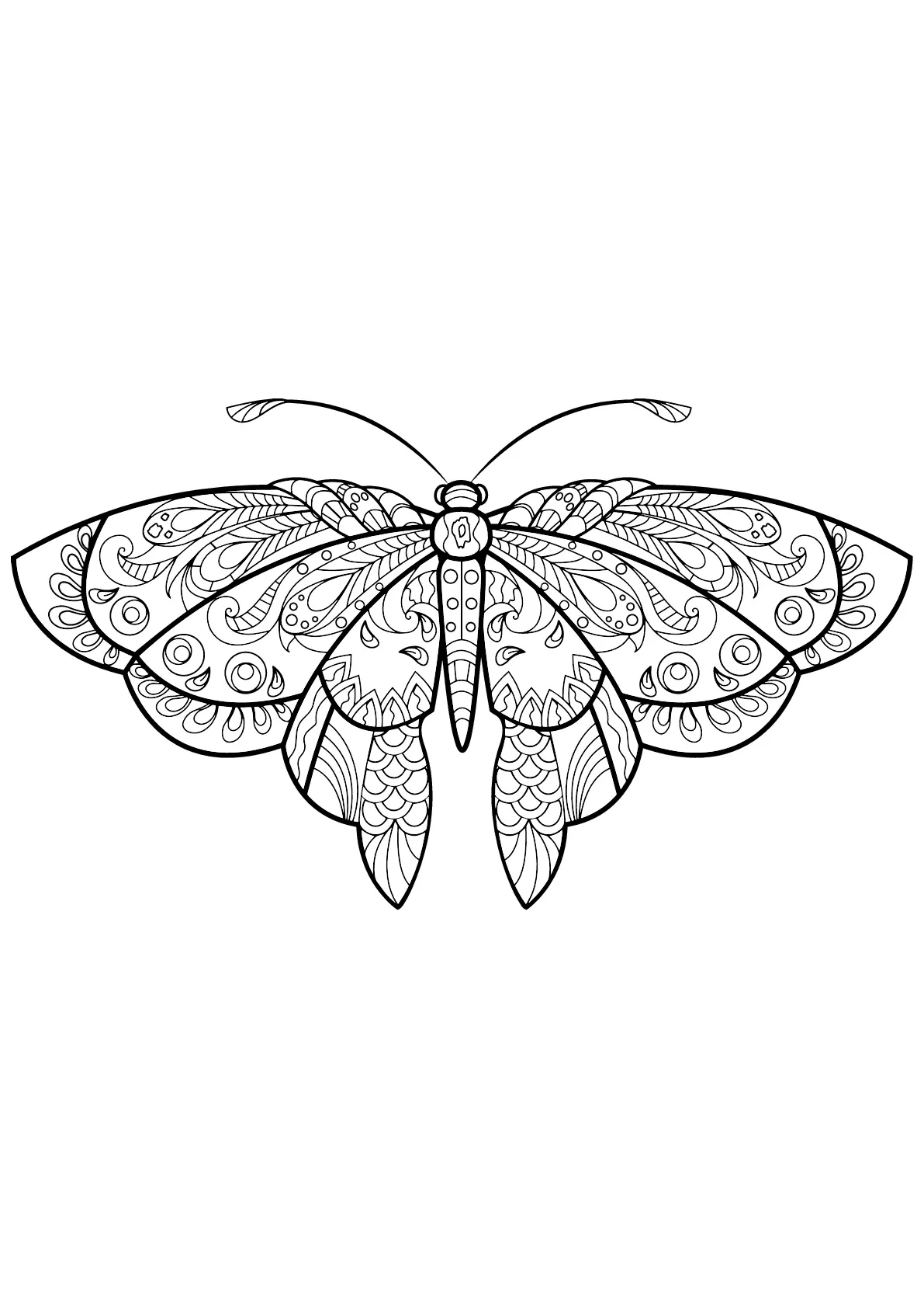 Butterfly beautiful patterns - 1 (Printable Butterflies & Insects Coloring Page for adults)