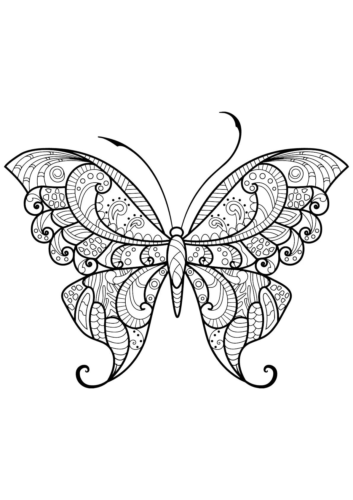 Butterfly beautiful patterns - 12 (Printable Butterflies & Insects Coloring Page for adults)