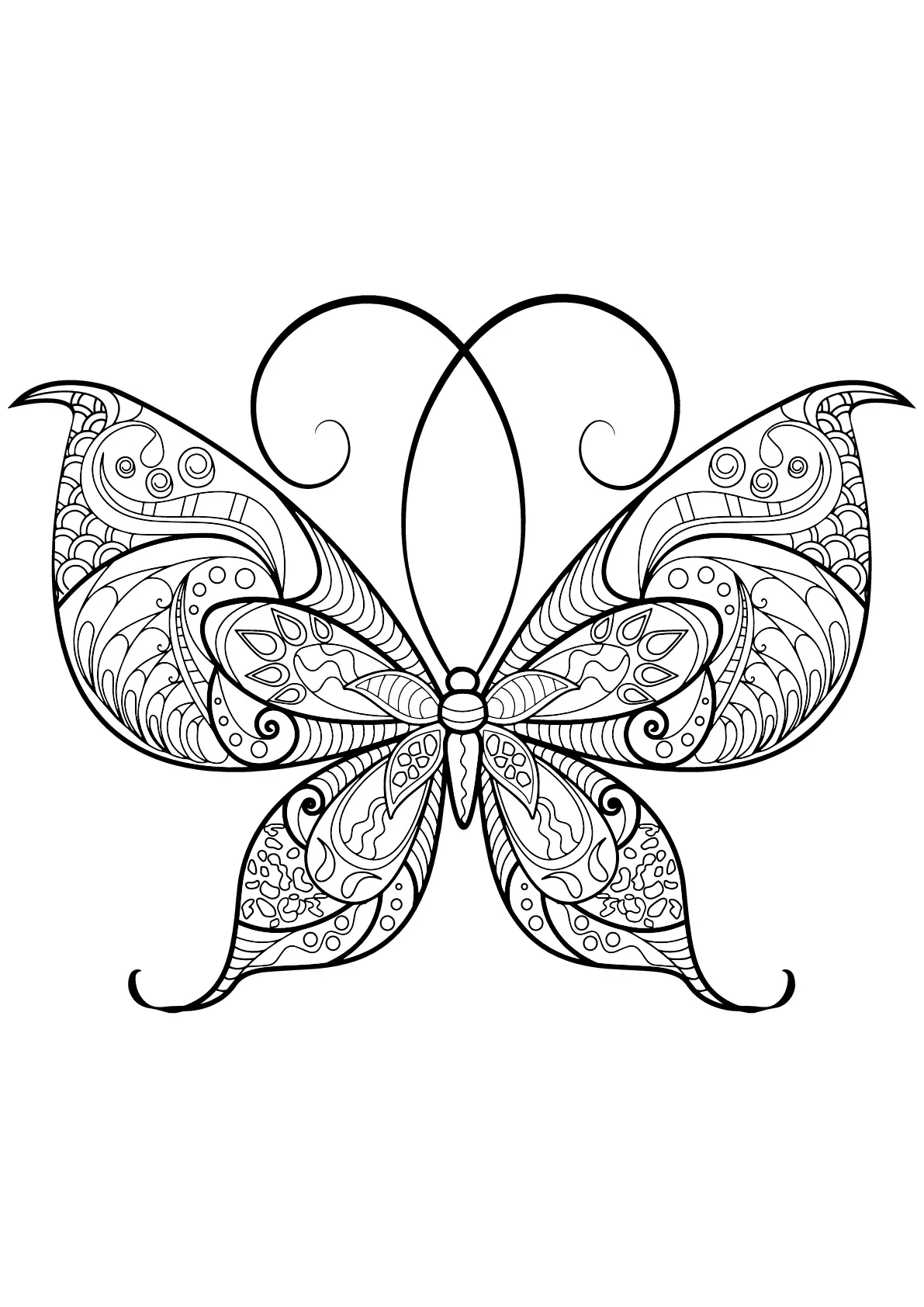 Butterfly beautiful patterns - 13 (Printable Butterflies & Insects Coloring Page for adults)