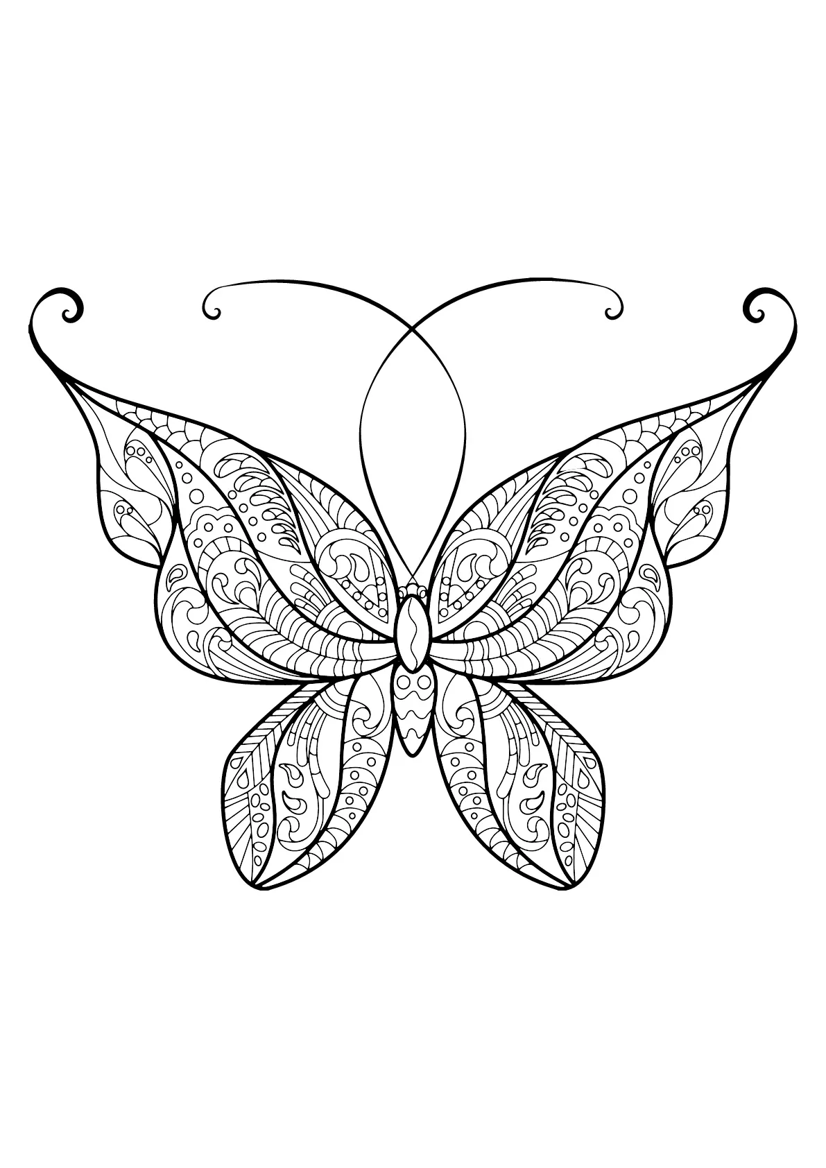 Butterfly beautiful patterns - 14 (Printable Butterflies & Insects Coloring Page for adults)
