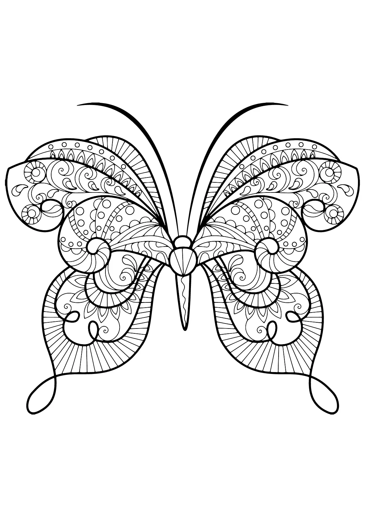 Butterfly beautiful patterns - 15 (Printable Butterflies & Insects Coloring Page for adults)