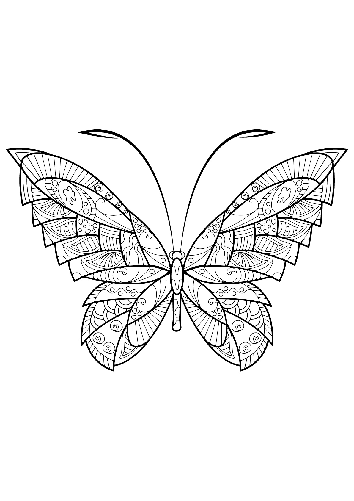 Download Butterfly beautiful patterns 17 - Butterflies & insects Adult Coloring Pages