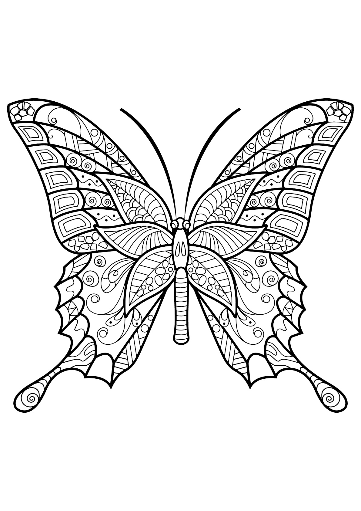 Butterfly beautiful patterns 6 - Butterflies & insects Adult Coloring Pages