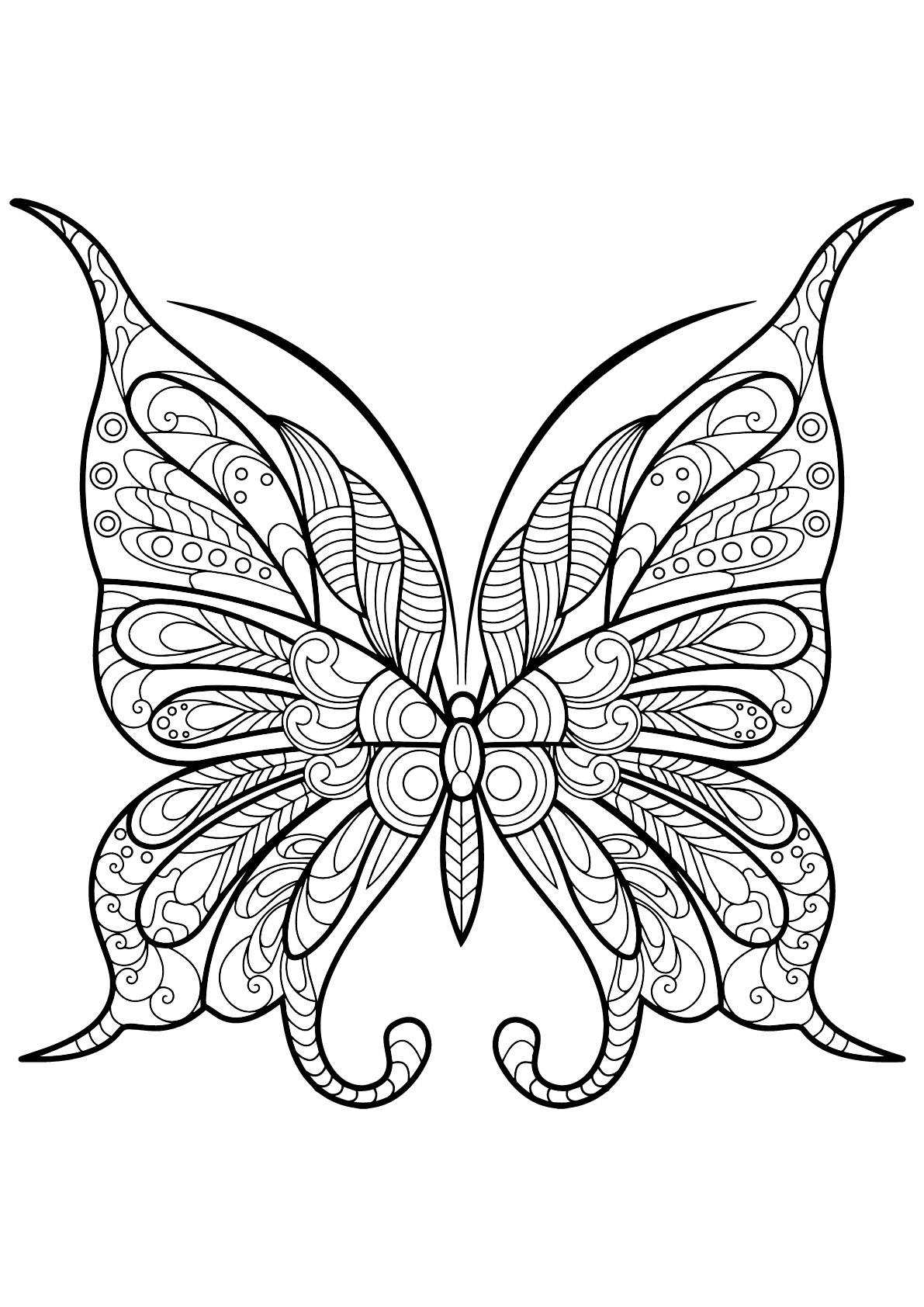 Butterfly beautiful patterns 9 - Butterflies & insects Adult Coloring Pages