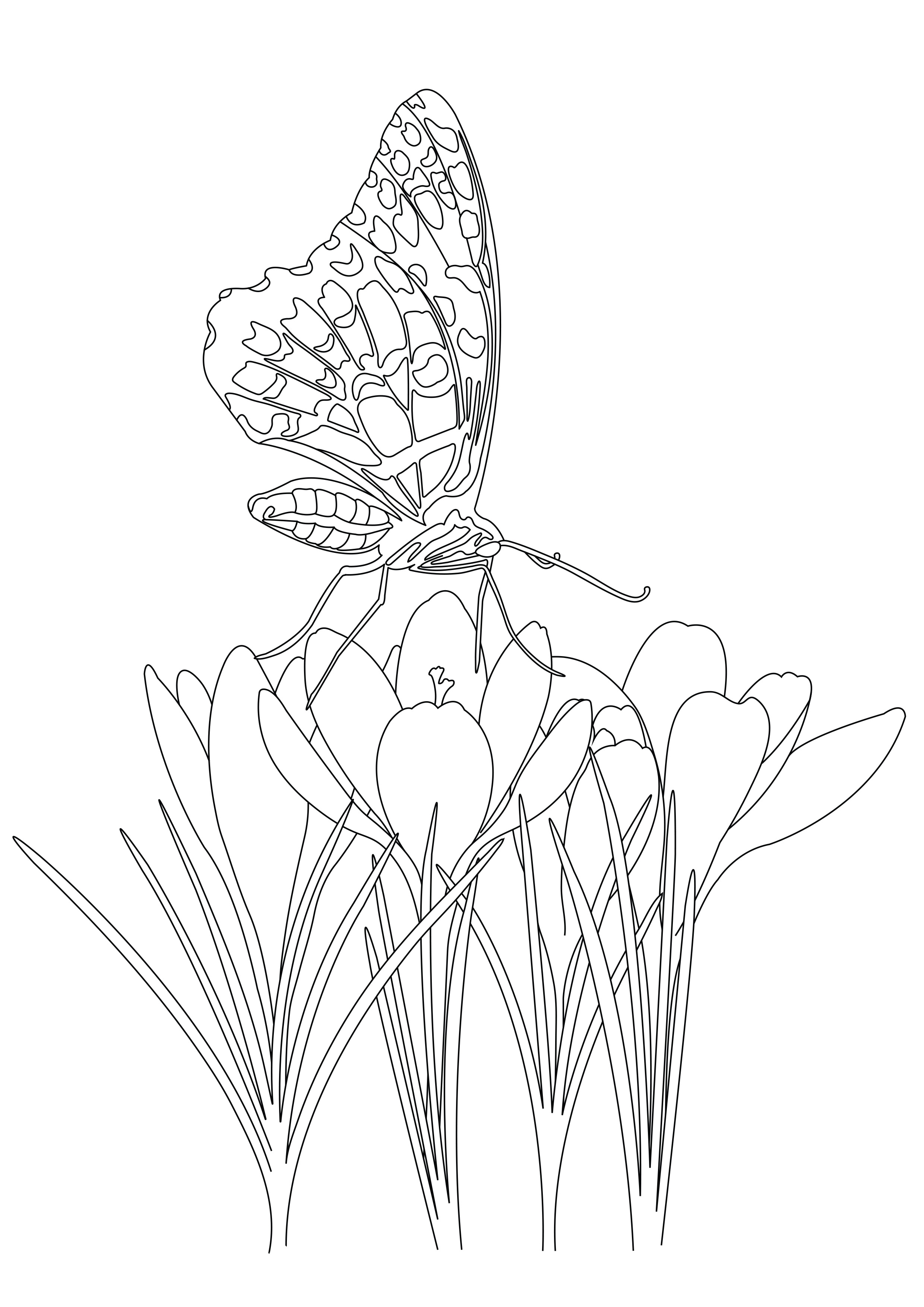Butterfly under flowers, from the coloring book 'Butterfly garden', by Emma L Williams