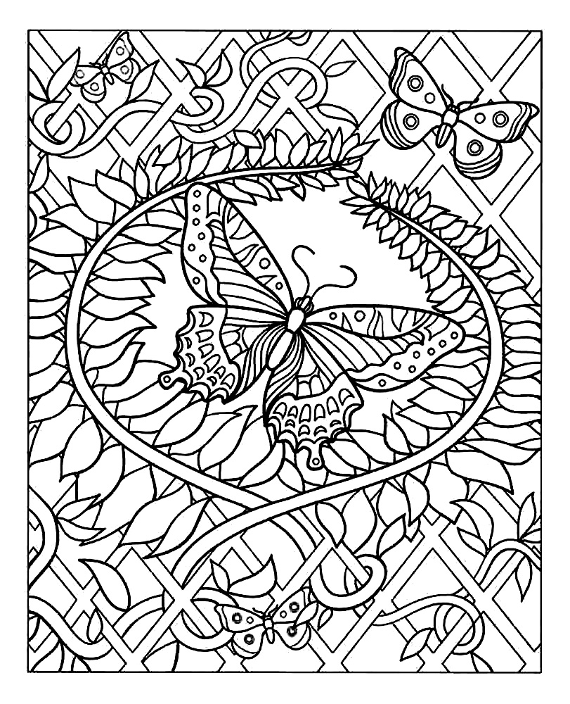 Butterfly - Butterflies & insects Adult Coloring Pages