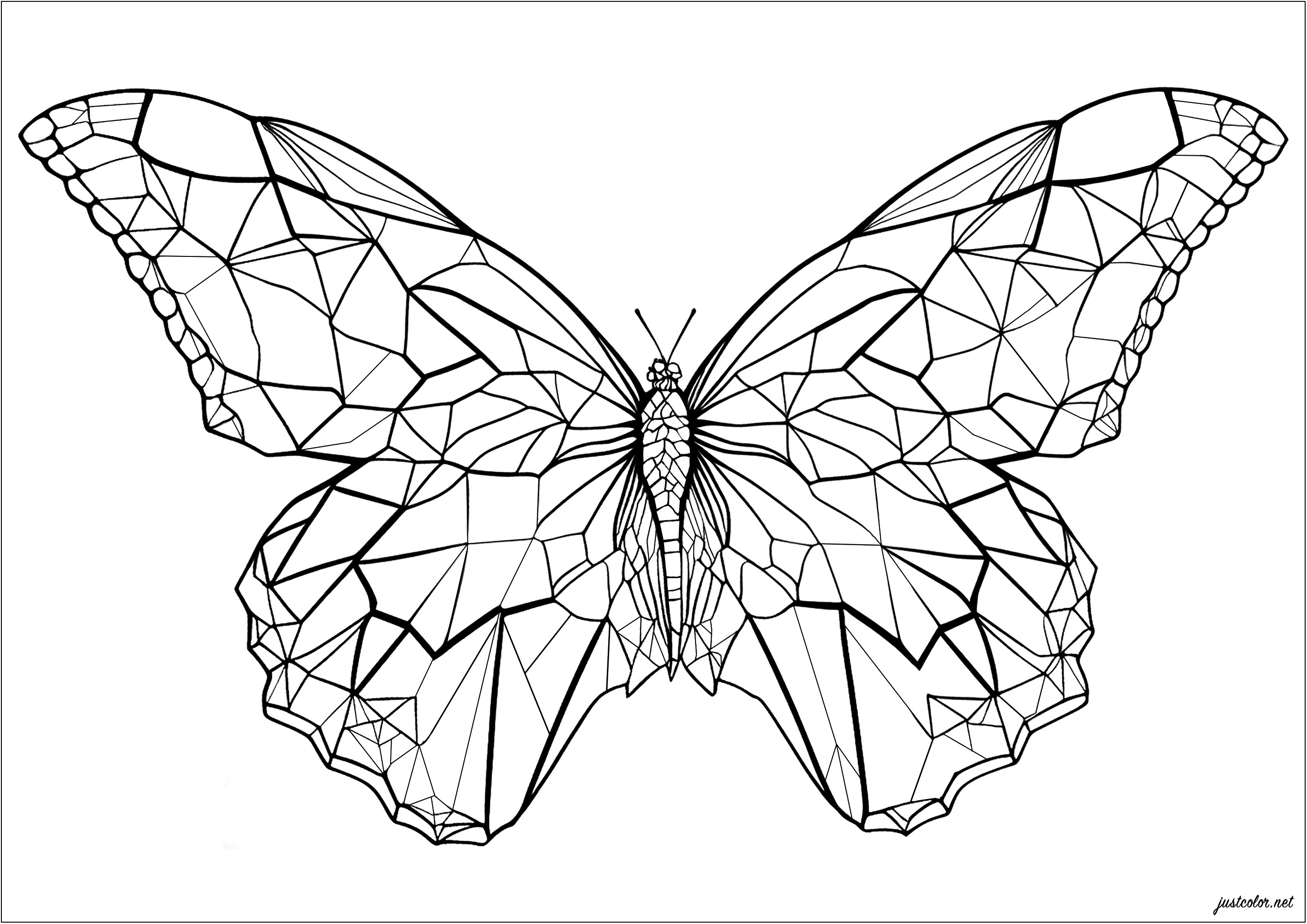A butterfly with angular and geometrical wings. Color each geometric shape of this beautiful butterfly's wings! Gradients of colors, colors of the rainbow ... Symmetry or not ... it's up to you to choose your style, the possibilities are endless and the result is sure to be beautiful.