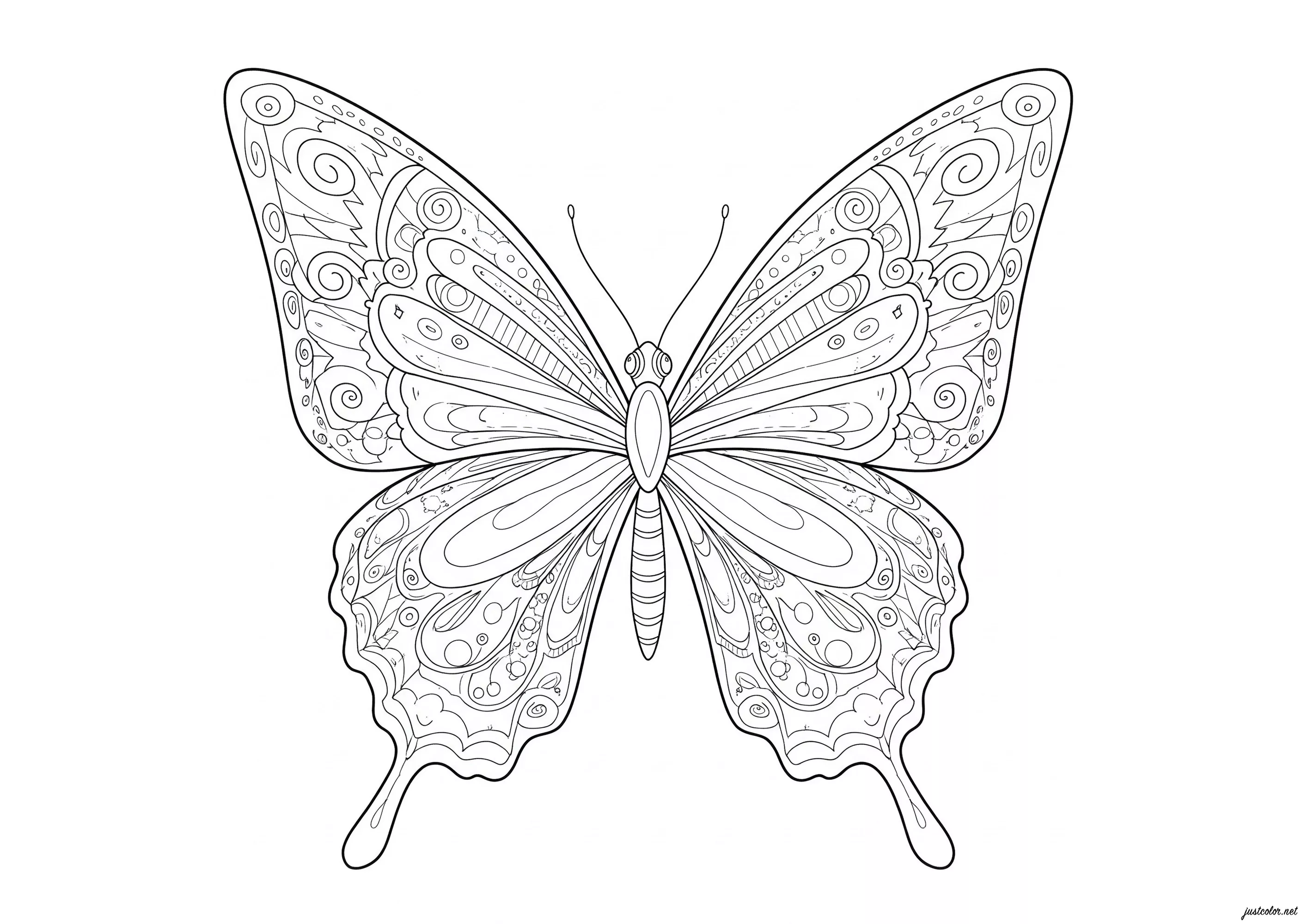 Colouring of a butterfly with wings full of details and motifs (Printable Butterflies & Insects Coloring Page for adults)