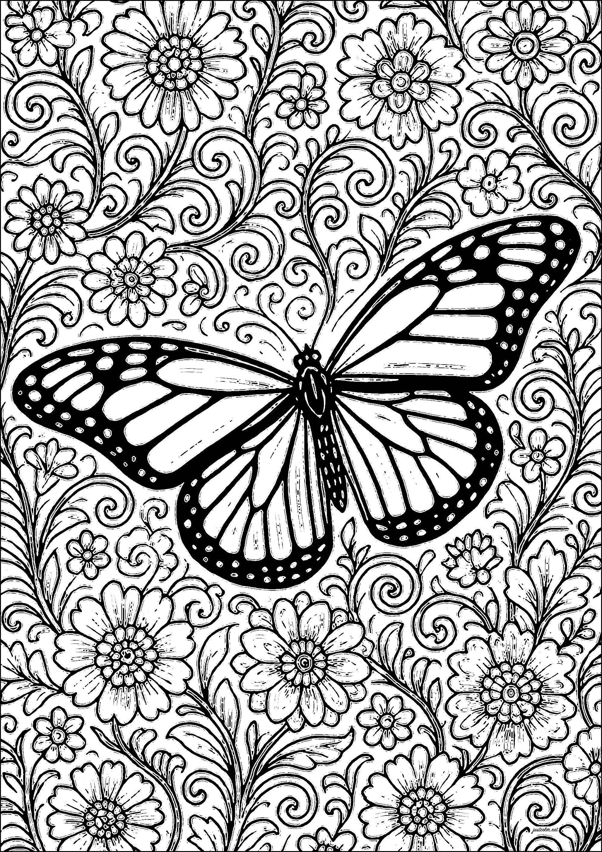 Butterfly on floral background (Printable Butterflies & Insects Coloring Page for adults)