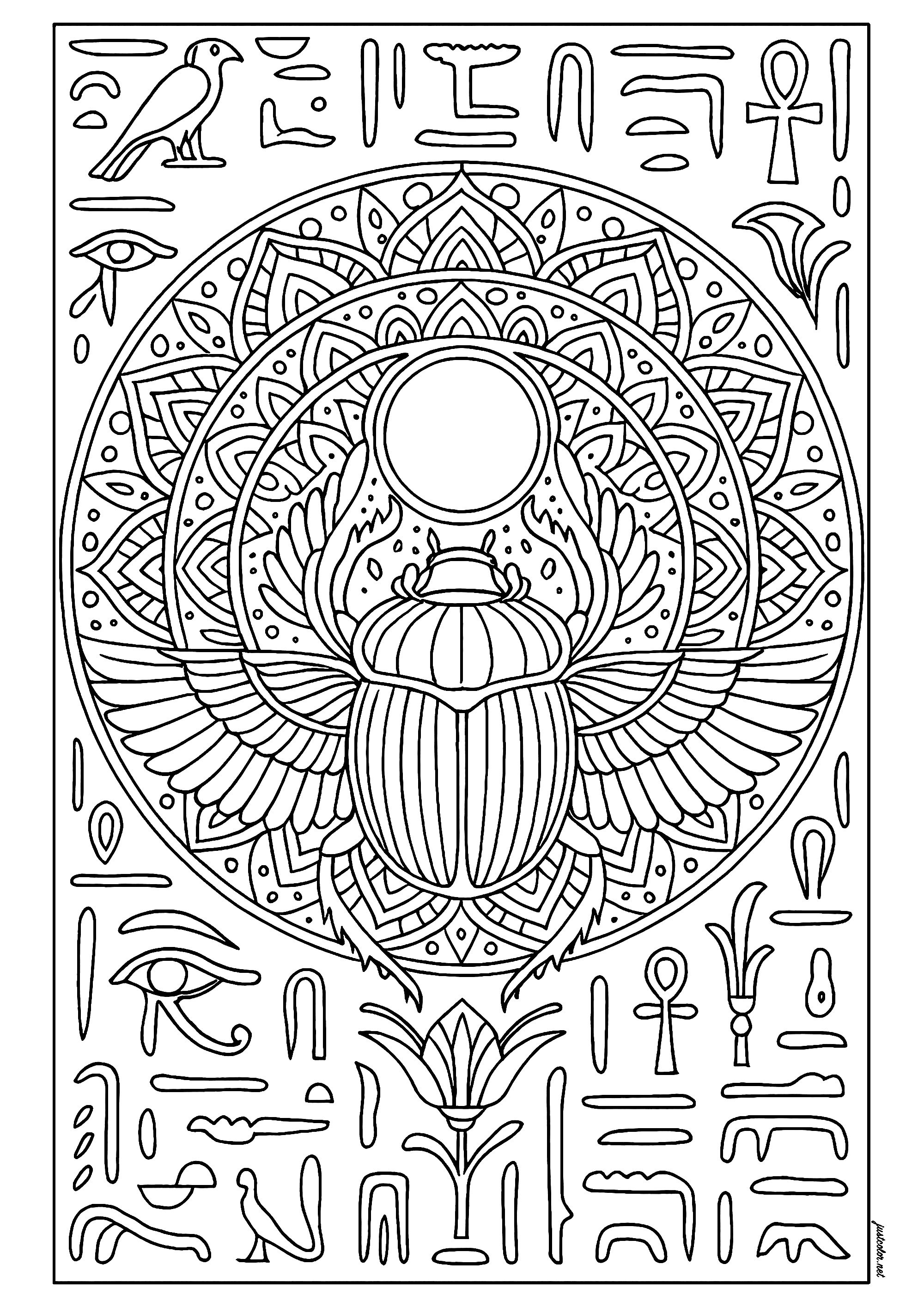 Insects-28026 (Printable Butterflies & Insects Coloring Page for adults)