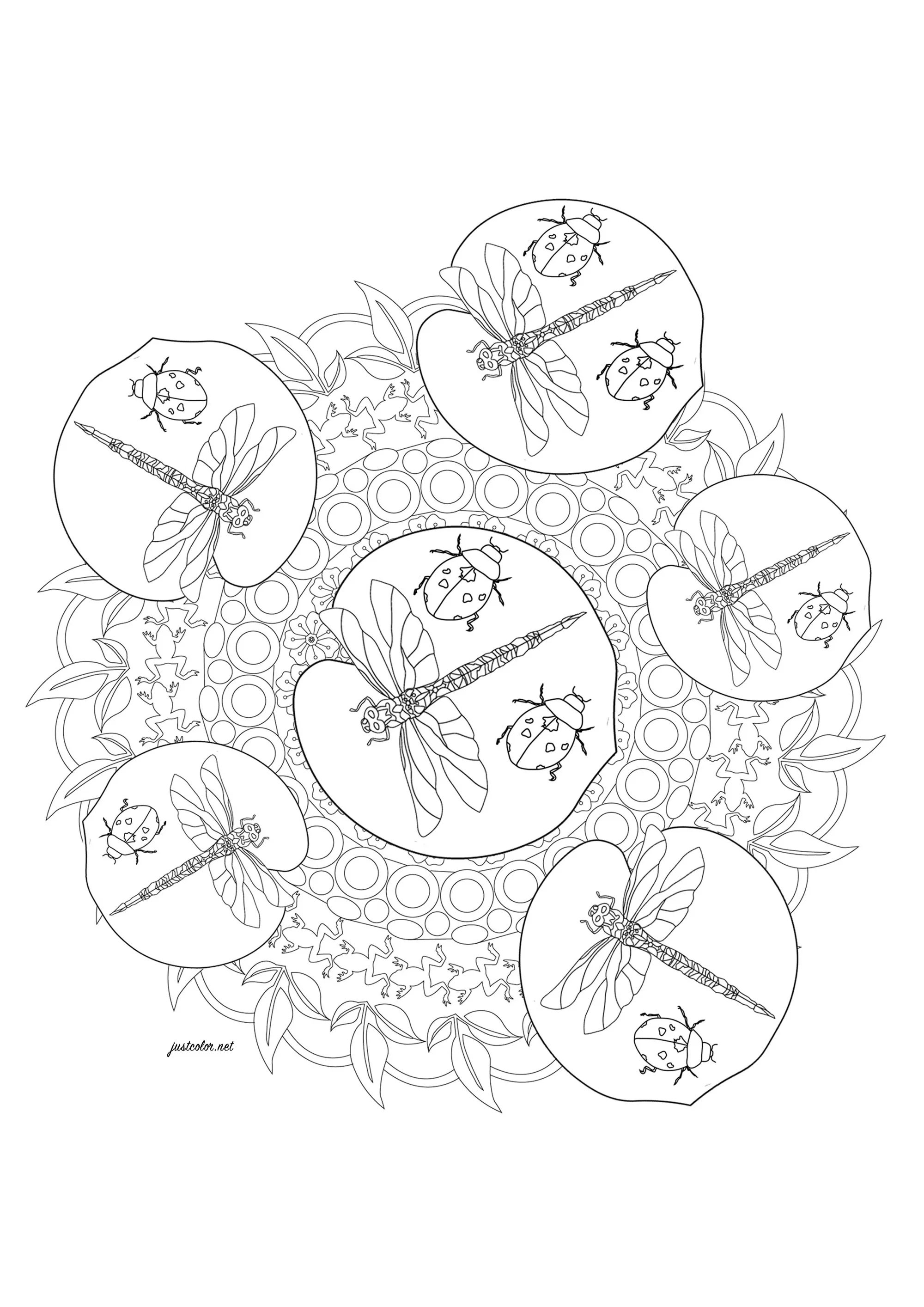 Ladybug and dragonflies (Printable Butterflies & Insects Coloring Page for adults)