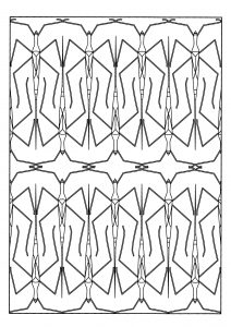 Coloring adult stick insect