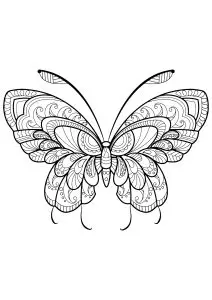 Butterfly beautiful patterns 11